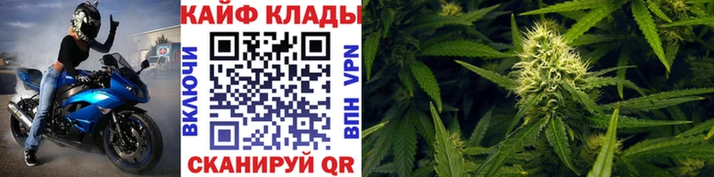 Где можно купить наркотики Грязовец Марихуана  blacksprut ССЫЛКА  COCAIN  ГАШИШ  МЕФ  Alpha-PVP 